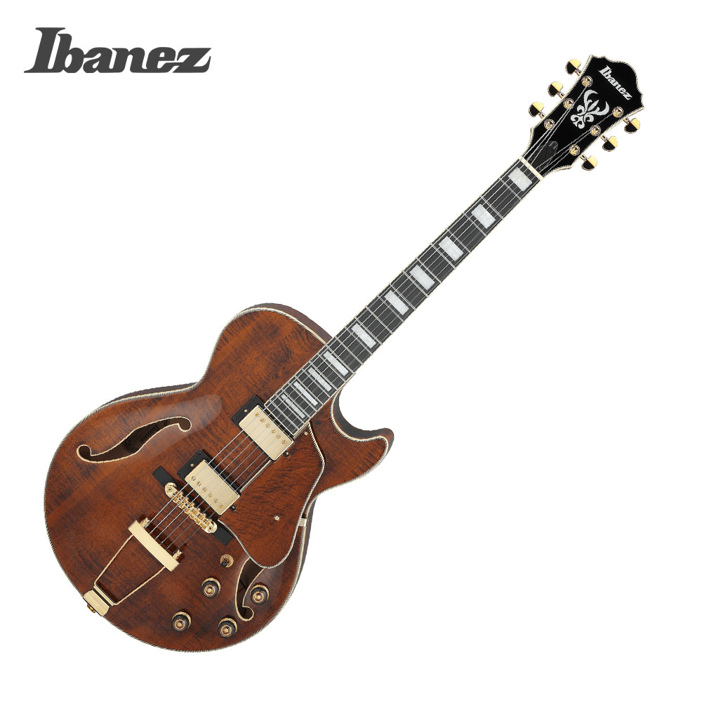 Ibanez [새학기세일 쿠폰] Ibanez 아이바네즈 일렉기타 AG95MG Dark Amber