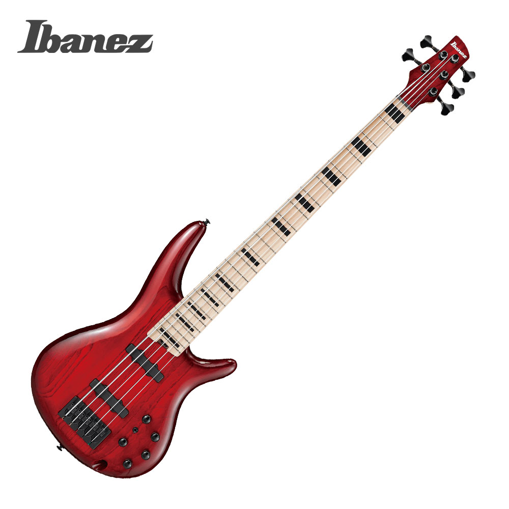 Ibanez [세일페스타 쿠폰] Ibanez 아이바네즈 5현 베이스기타 ANB205 (Transparent Wine Red Burst)