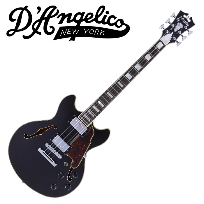 Native Instruments D.Angelico 디안젤리코 Premier Mini DC Black Flake