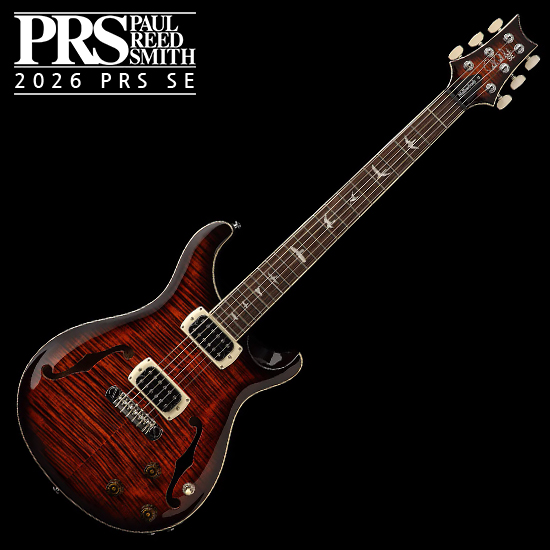 Beyond 비욘드 일렉기타 Classic Standard-D RW (Black)