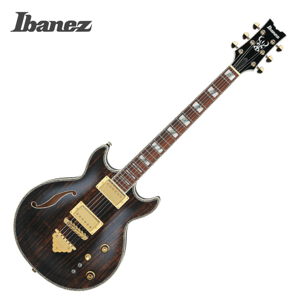 Ibanez 아이바네즈 일렉기타 AR520HME NT (Natural)