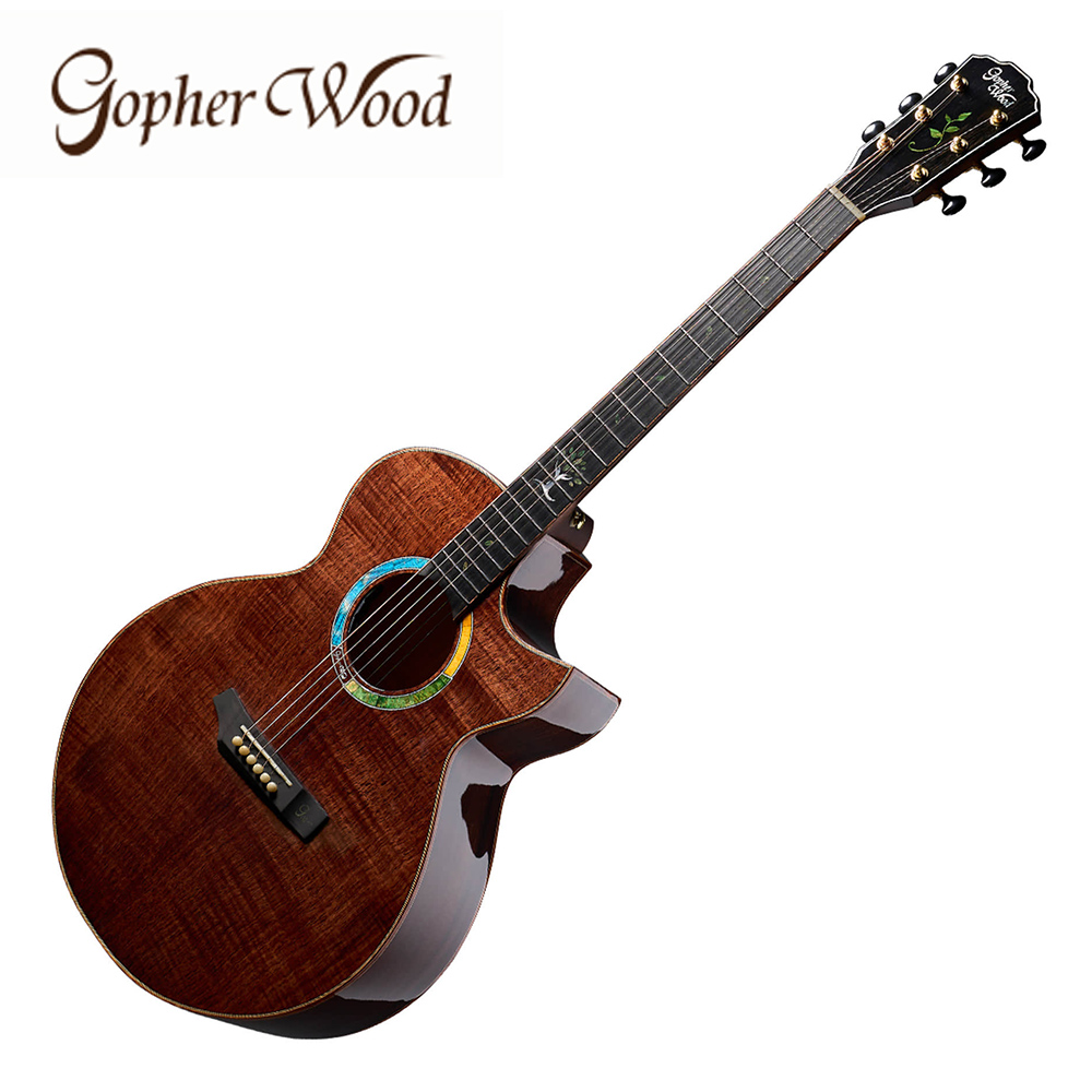 Gopher Wood 고퍼우드 통기타 i720MCE