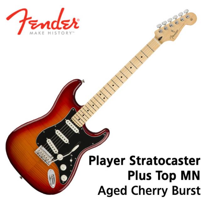 프리버드 | 멕펜 역대급 할인특가! Fender Mexico Player Stratocaster