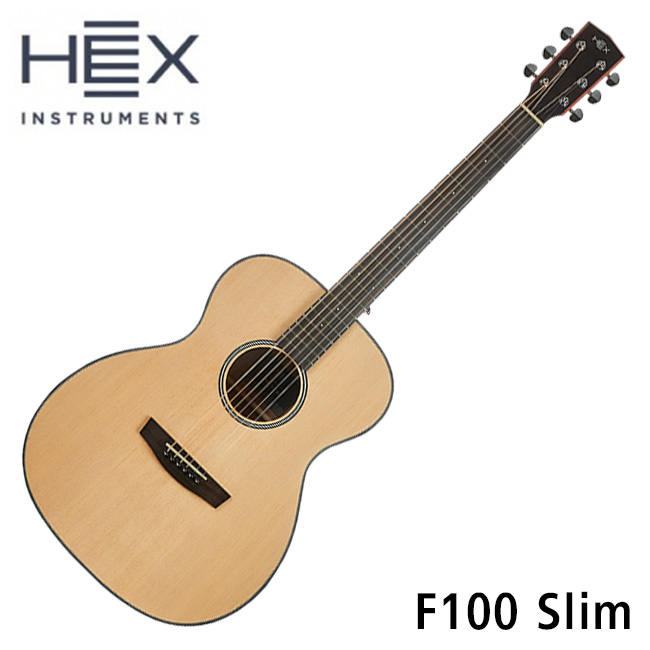 헥스 HEX 통기타 HIVE New F100 Slim