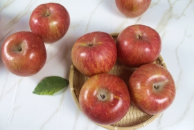 보성명가 부사사과 5kg