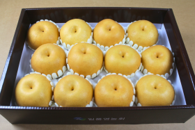 보성명가 배 7.5kg