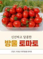 보성명가 방울토마토 3kg