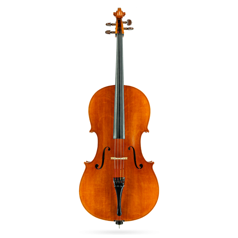 Cello by Casare Castelli 1982