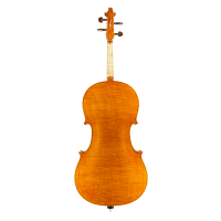 Cello by Casare Castelli 1982