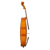 Cello by Casare Castelli 1982