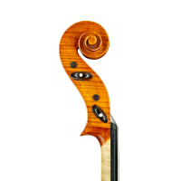 Cello by Casare Castelli 1982