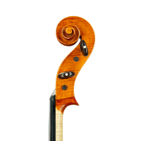 Cello by Casare Castelli 1982