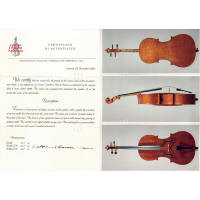 Cello by Casare Castelli 1982