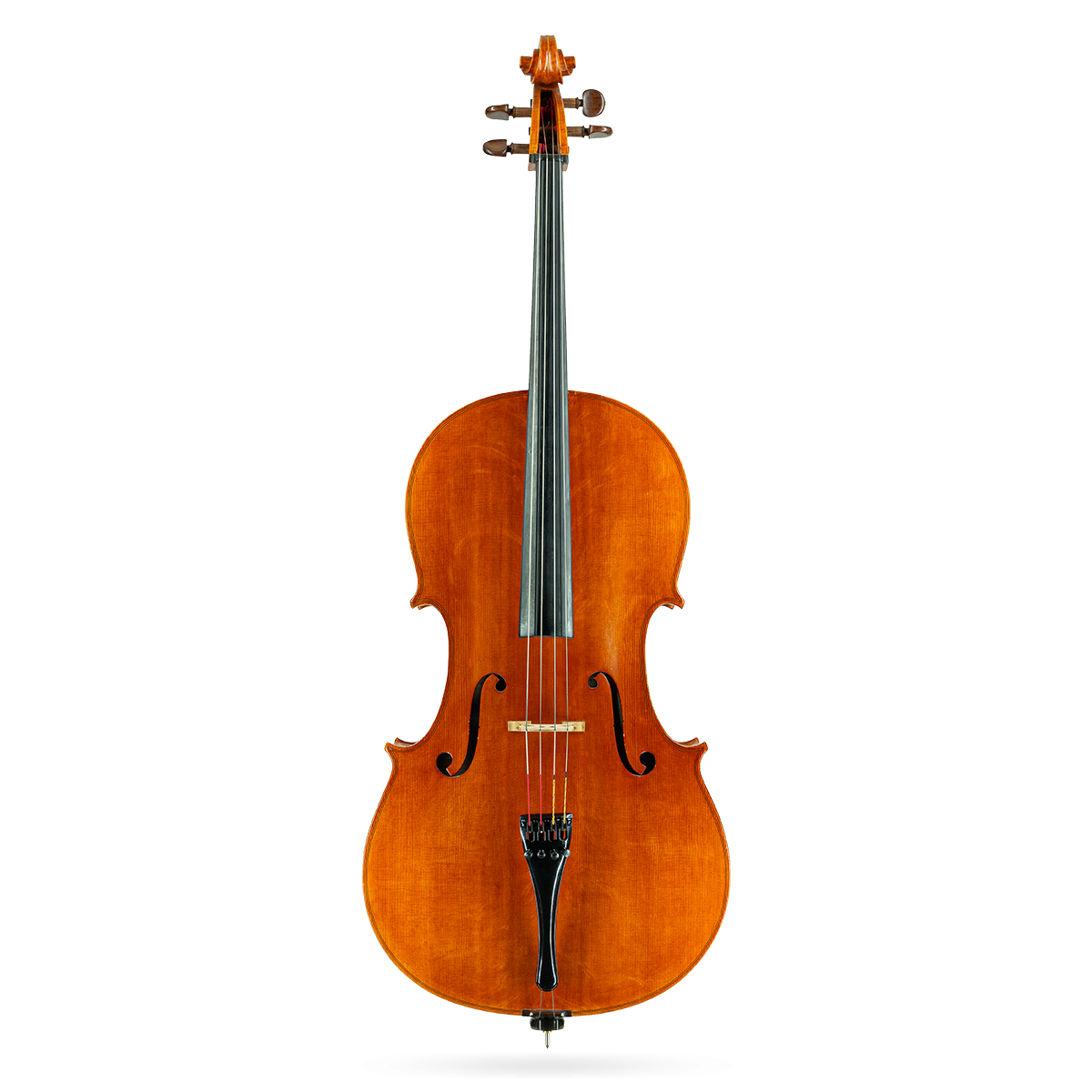 Cello by Casare Castelli 1982