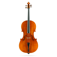 Cello by Casare Castelli 1982