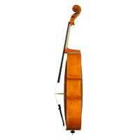 Cello by Casare Castelli 1982