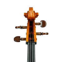 Cello by Casare Castelli 1982