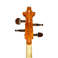 Cello by Casare Castelli 1982