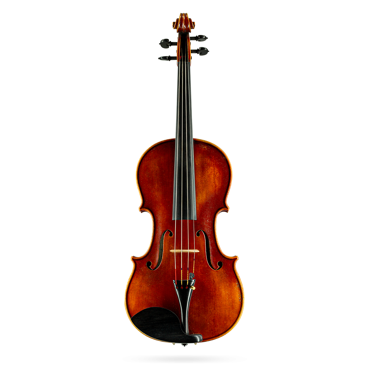 Viola by Otello Bignami 1980 16"