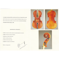 Viola by Otello Bignami 1980 16"