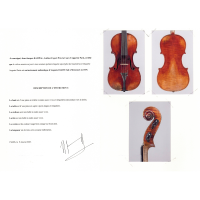 Violin by Auguste Darte 1875