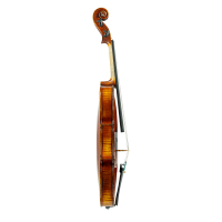 Violin by Auguste Darte 1875