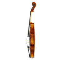 Violin by Auguste Darte 1875
