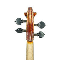 Violin by Auguste Darte 1875