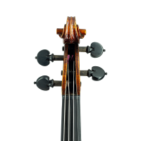 Violin by Auguste Darte 1875