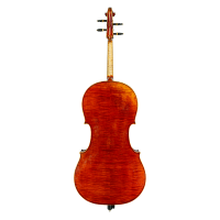 Cello by Gand & Bernardel 1880