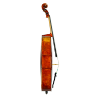 Cello by Gand & Bernardel 1880
