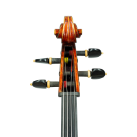 Cello by Gand & Bernardel 1880