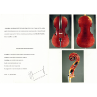 Cello by Gand & Bernardel 1880