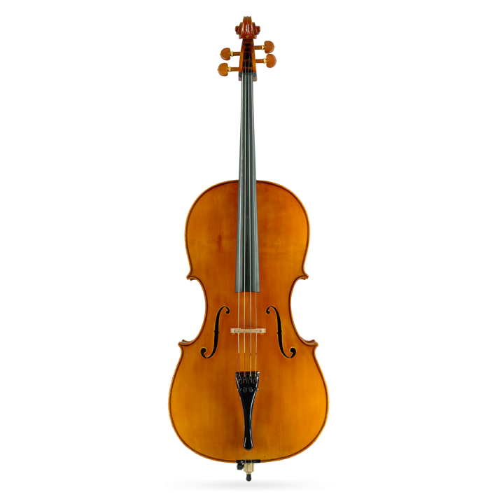 Cello by Giustino Dal Canto 1939