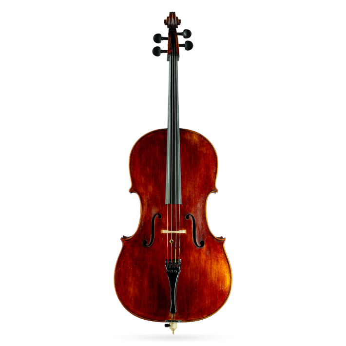 Cello Labelled H.C. Silvesta 1884