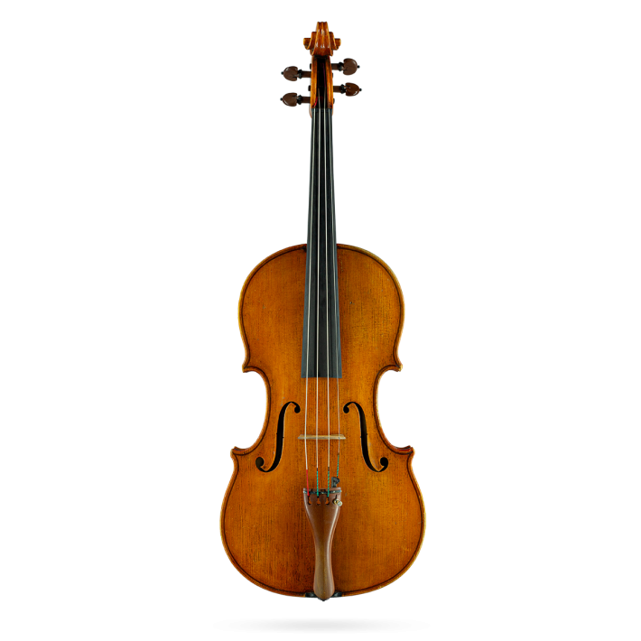 Viola Labelled A. Primavera 1982 16½"