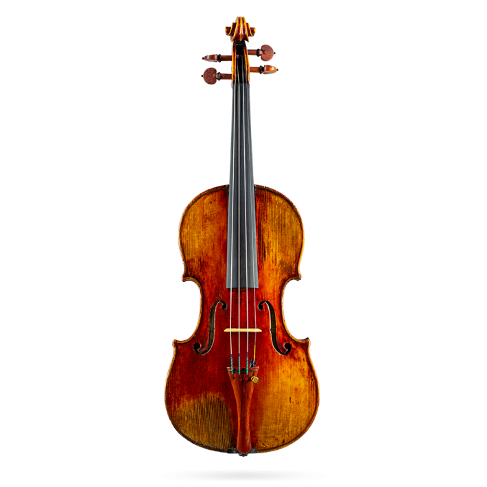 Violin Labelled GAND