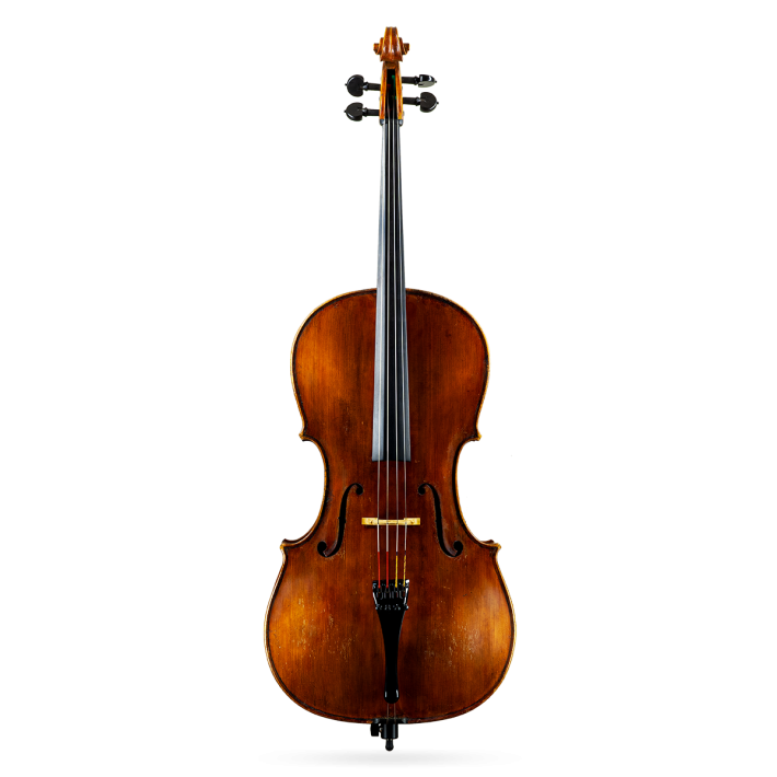 Cello Labelled Petrus Gaggini