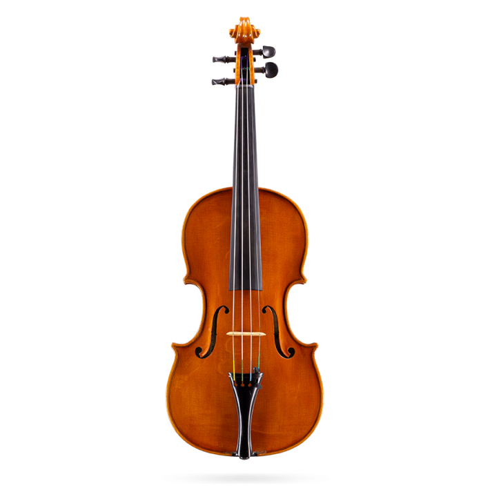 Violin by Alessandro Ciciliati 2014