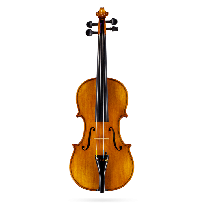 Violin by Sebim France (RO101299ST02)