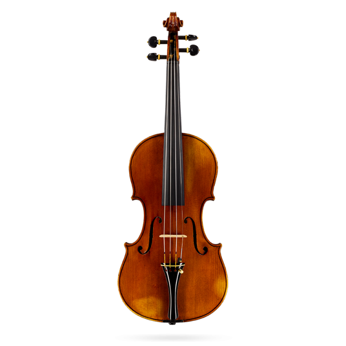 Violin Labelled Gaetano Pareschi