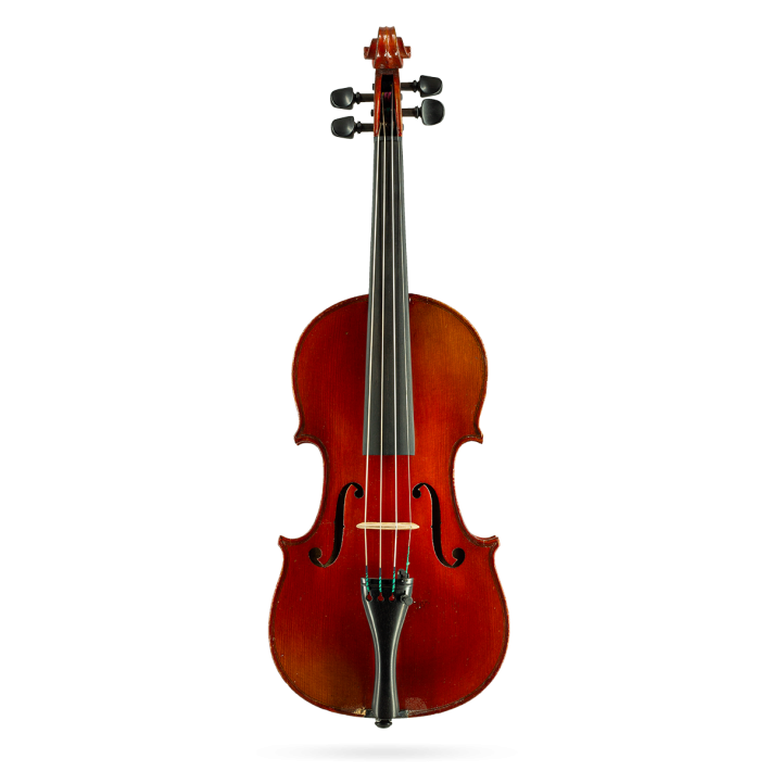 Violin Labelled Gennaro de Luccia 1/2