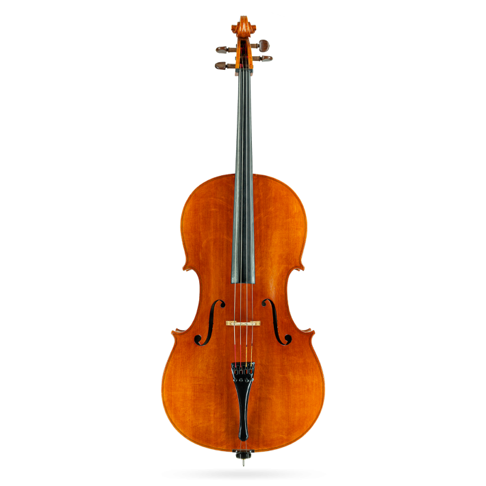 Cello by Casare Castelli 1982