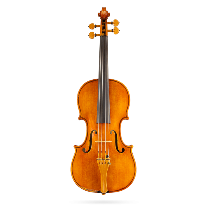 Violin Labelled Luciano Bini