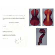 Cello by Nicolas Vuillaume 1860-65