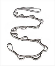 다이닉스 데이지체인 (12mm*140cm)
