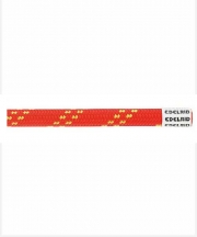 플로트 11mm 200M