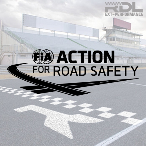 FIA ACTION 데칼