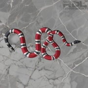 Gucci Snake 데칼 (A타입)