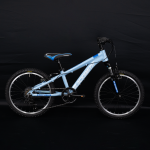 5S 페트론 20